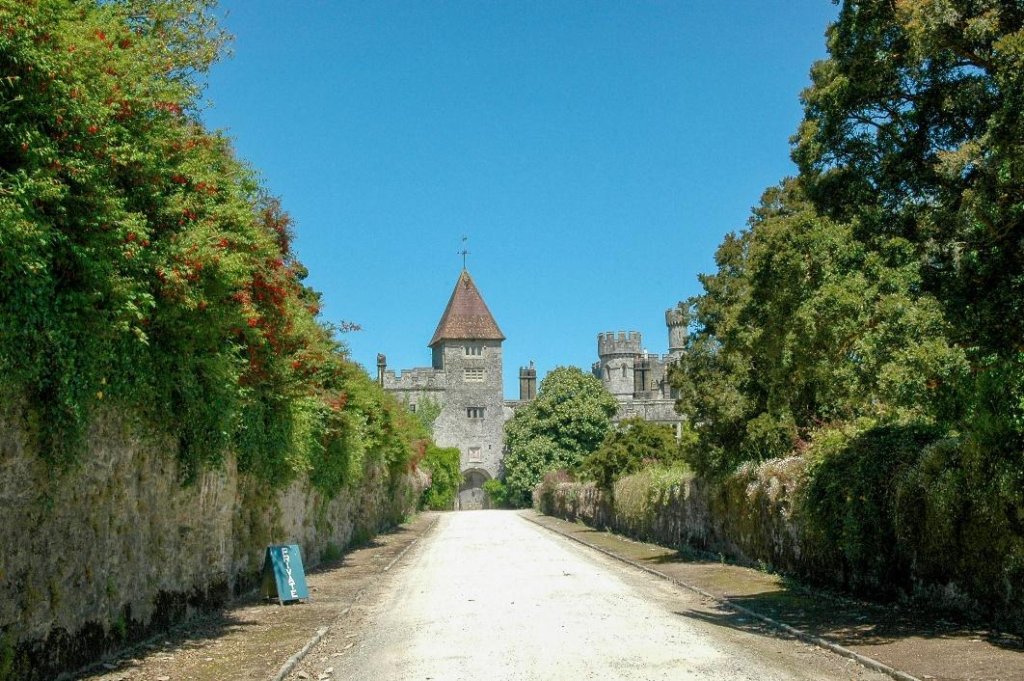 A gravel path lined with lush greenery.