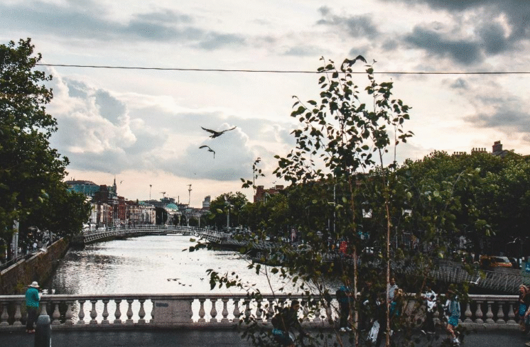 Scenic view of River Nore with birds in flight