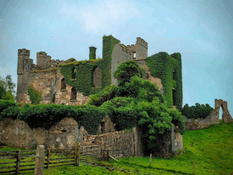 Ivy-covered medieval castle wall in Ireland under a moody sky