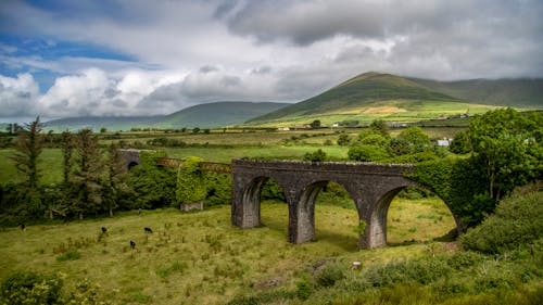 Historic stone viaduct arch bridge surrounded by green Irish countryside and rolling hills