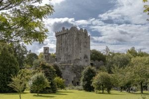 This photo shows a castle with greenery around it.