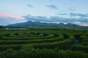 A maze to explore during an Ireland heritage tour.