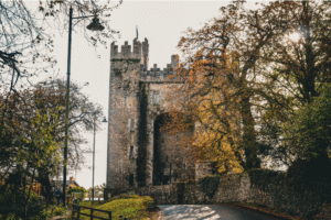 Irish castle to visit during historical tours of Ireland.