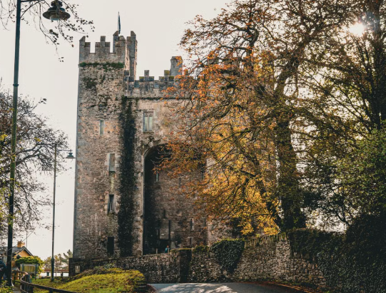 This image shows a historic stone castle surrounded by autumn trees.