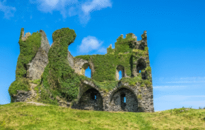 This image shows a castle in summer.