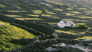 Traditional white cottage sitting atop a lush green hillside in rural Ireland.