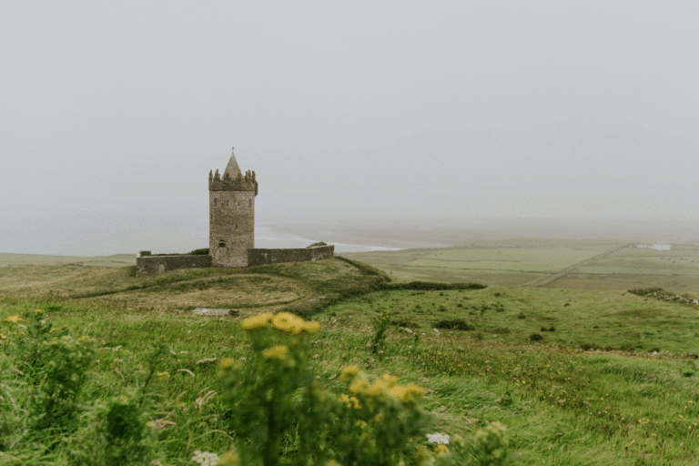 Historic gray stone ruins and archways surrounded by lush green trees in an Irish townland.