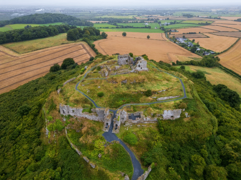An aerial image of the rock of Dunamase