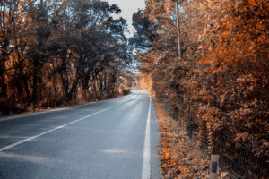 Quiet autumn lane with vibrant leaves