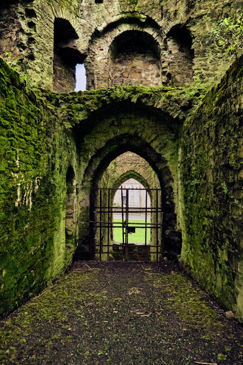 An image of a medieval Irish castle with mossy walls