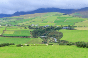 Lush green fields in Dingle County Kerry Ireland