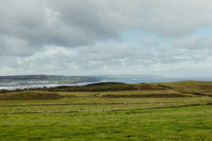 Stunning Irish coastline with green fields and hills