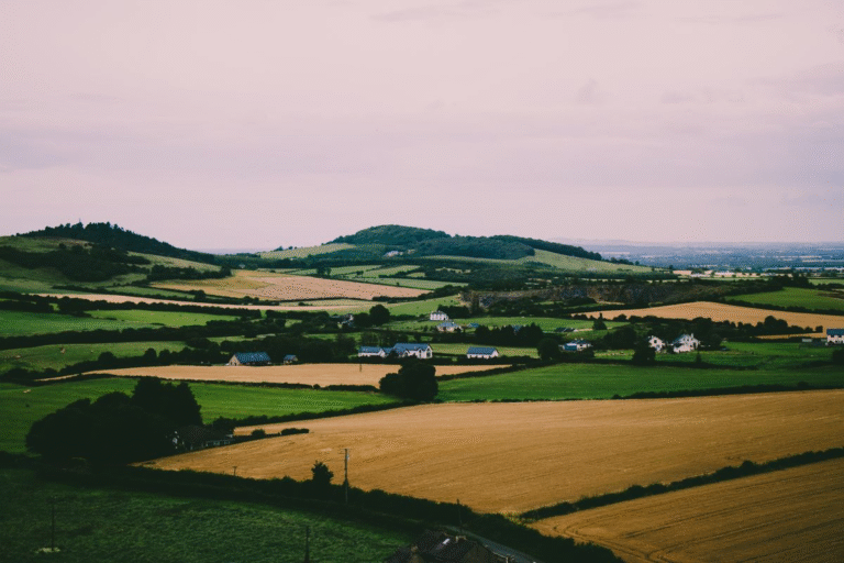 Scenic Irish countryside with green fields and houses