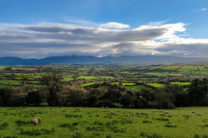Lush green fields and distant mountains in Ireland