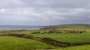 Sligo coastline with green fields and distant ocean horizon