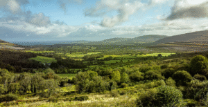 Lush green rolling hills under bright blue sky