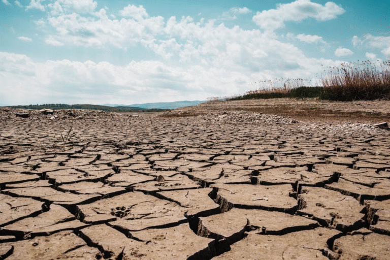 A dry, barren piece of land